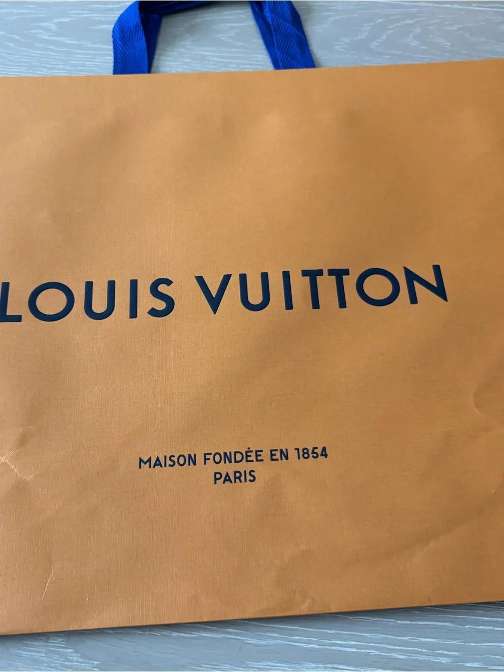 Louis Vuitton Medium Large Shopping Gift Bag